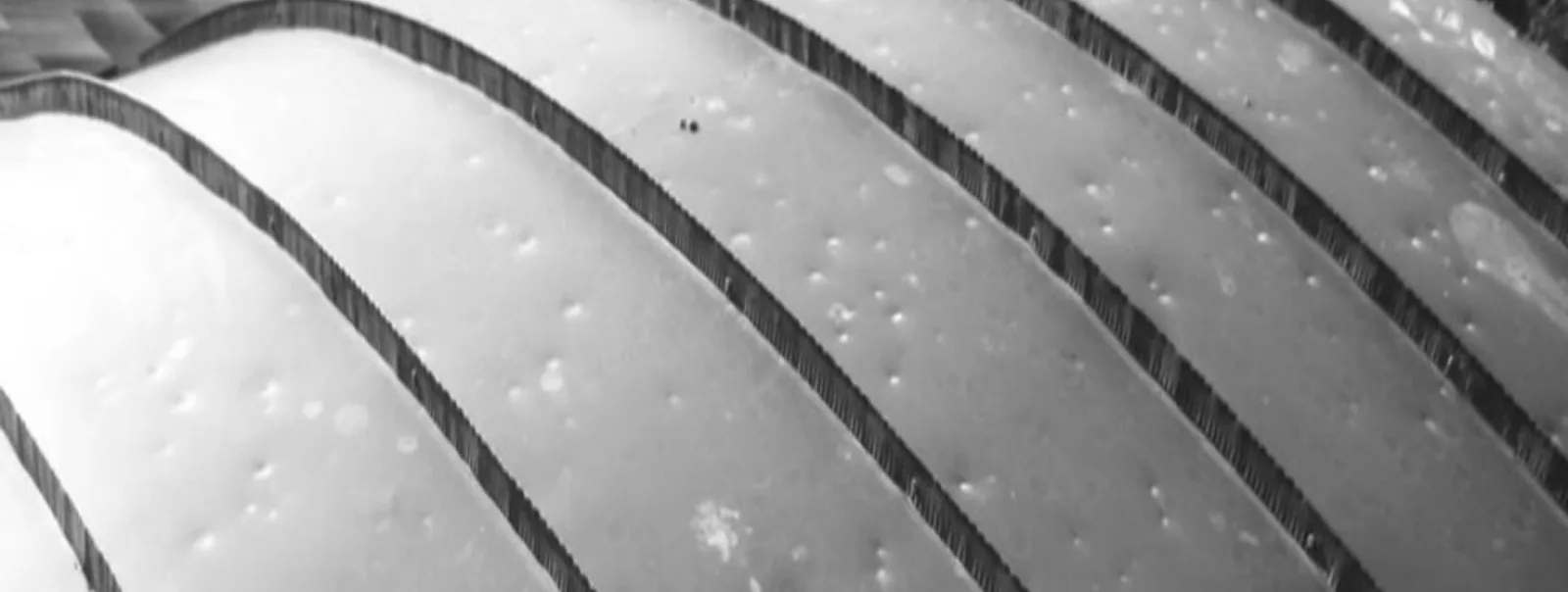 Commercial Hail Damage Roof Repair in Plano, TX